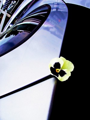 Product picture Cars